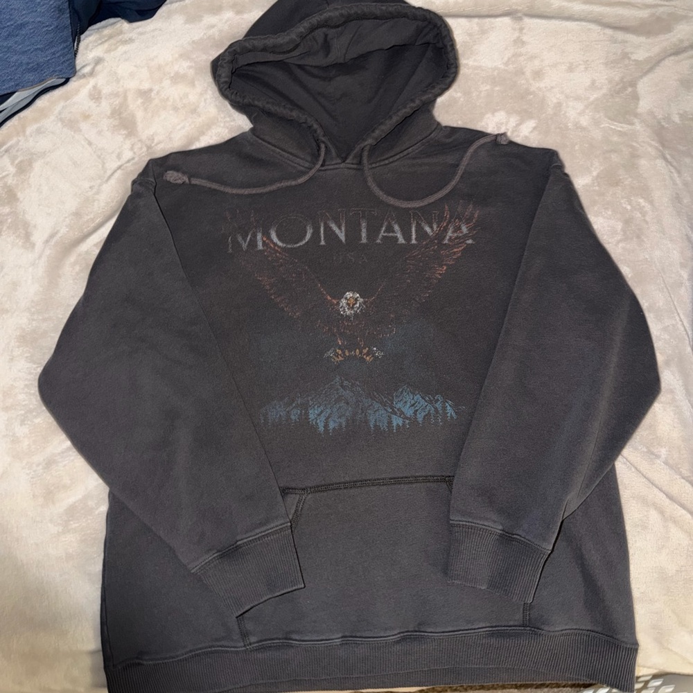 Hollister Graphic Hoodie